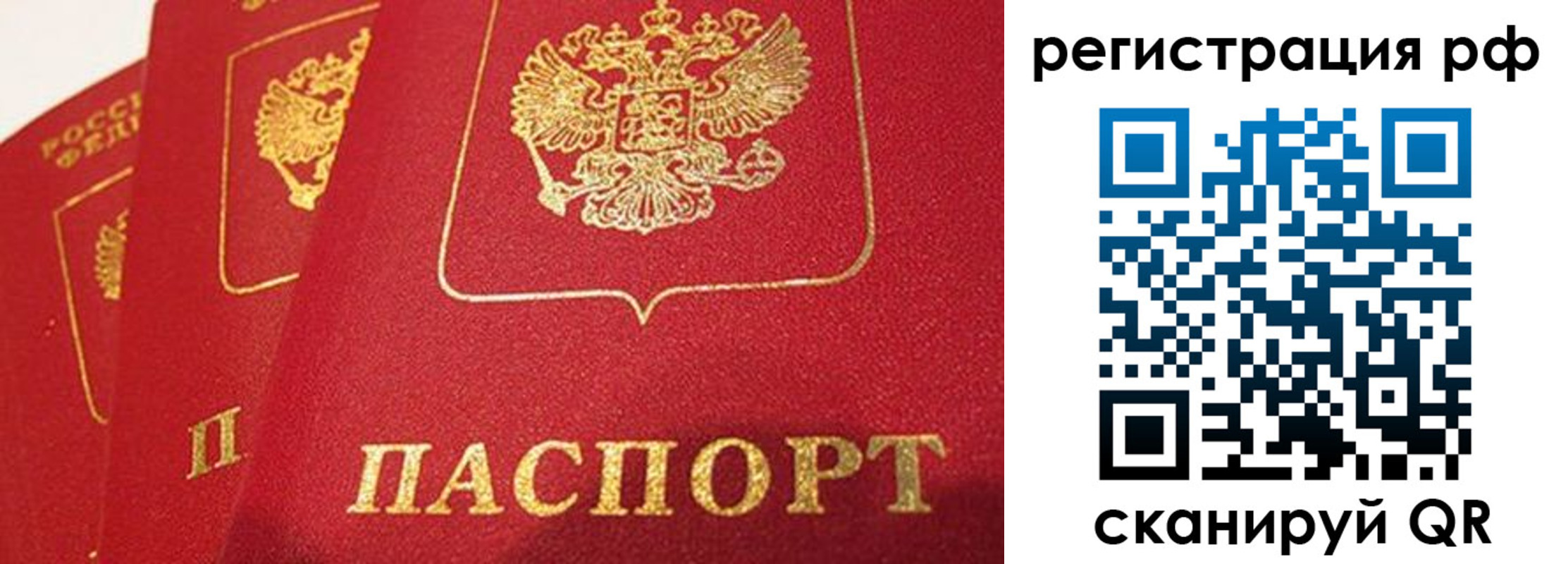прописка поиск в Зеленоградске